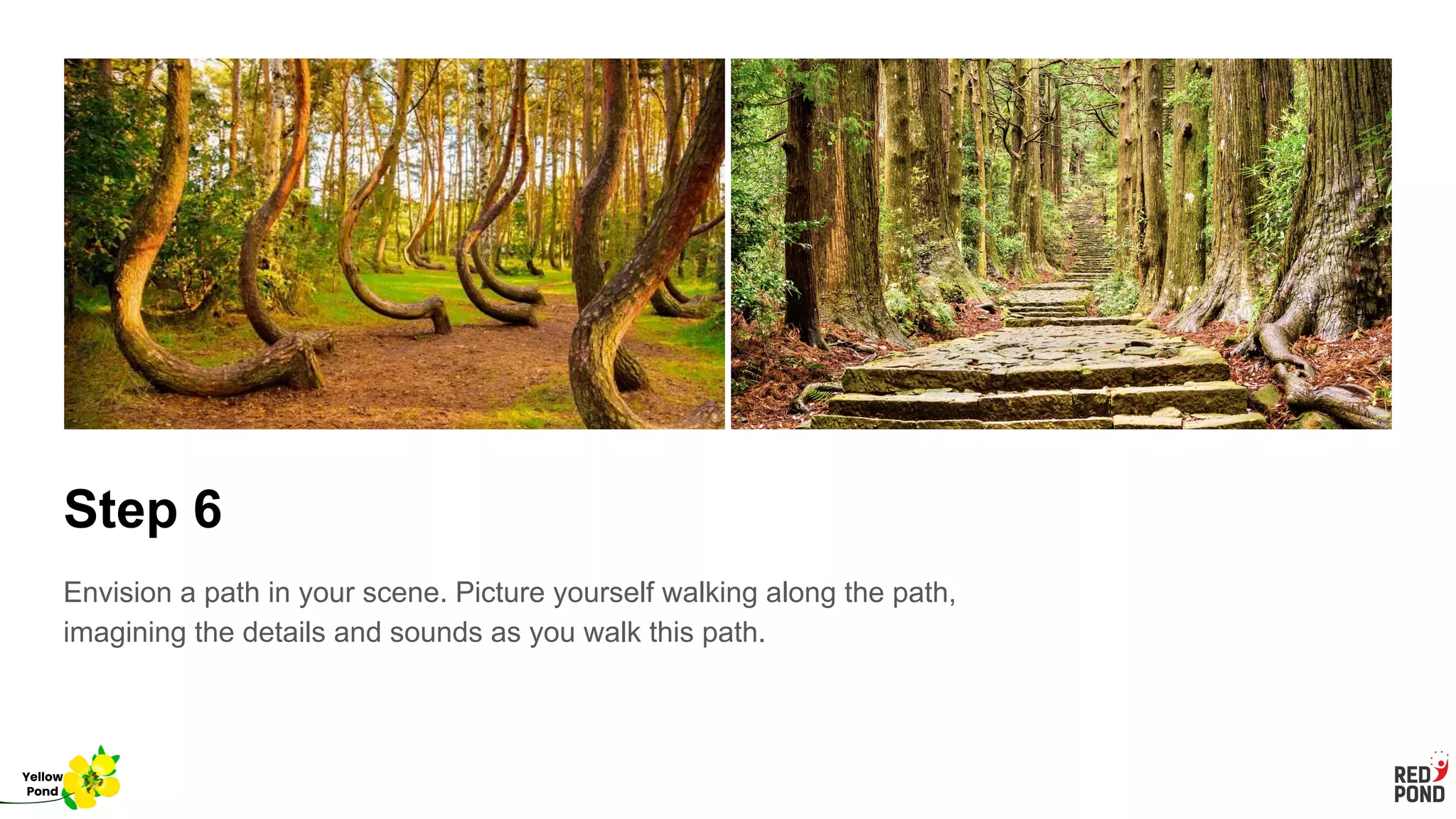 Step 6
Envision a path in your scene. Picture yourself walking along the path,
imagining the details and sounds as you walk this path.
Yellow
Pond
 