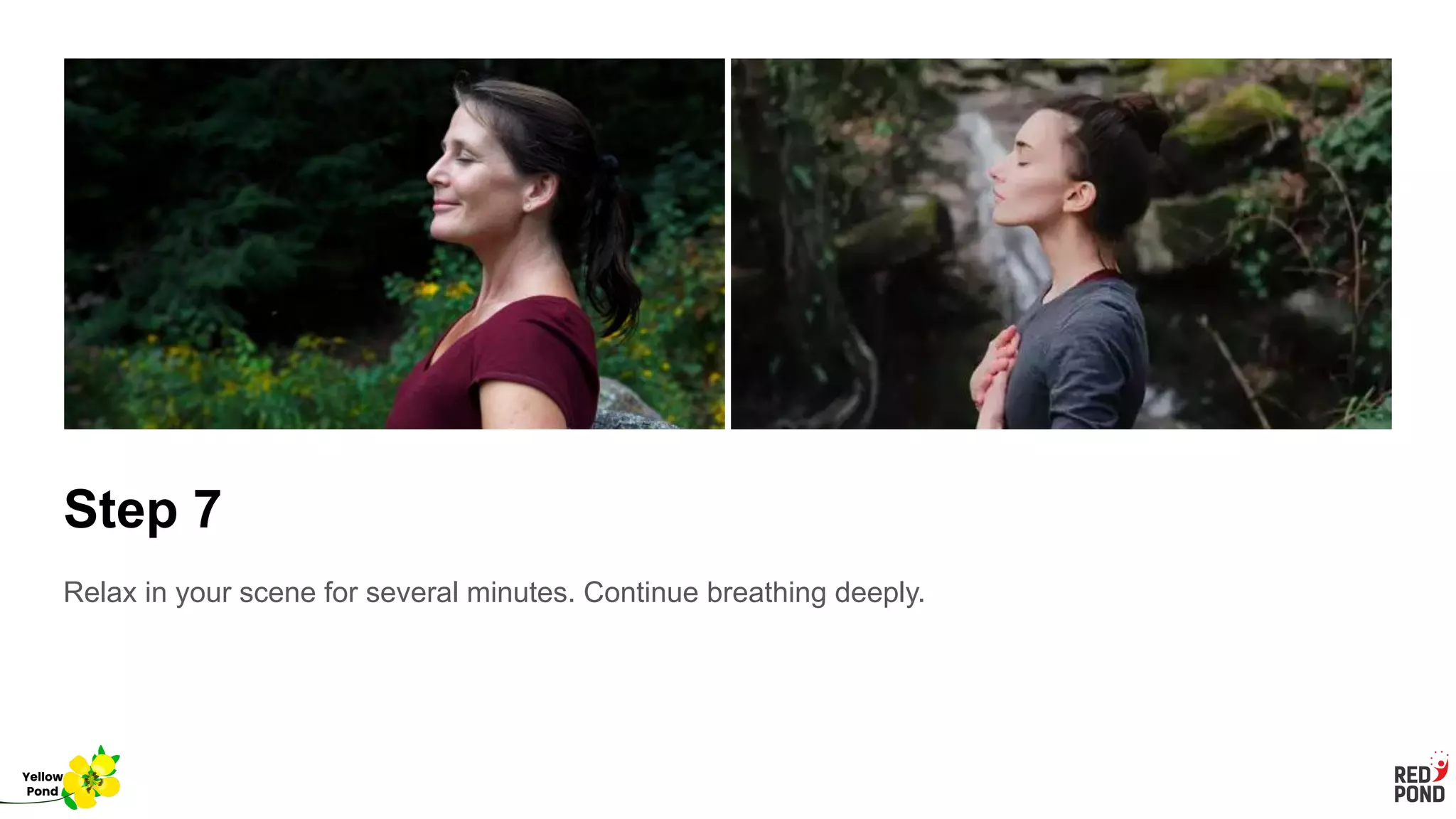 Step 7
Relax in your scene for several minutes. Continue breathing deeply.
Yellow
Pond
 