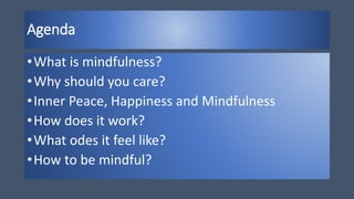 Agenda
•What is mindfulness?
•Why should you care?
•Inner Peace, Happiness and Mindfulness
•How does it work?
•What odes it feel like?
•How to be mindful?
 