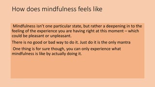 How does mindfulness feels like
Mindfulness isn’t one particular state, but rather a deepening in to the
feeling of the experience you are having right at this moment – which
could be pleasant or unpleasant.
There is no good or bad way to do it. Just do it is the only mantra
One thing is for sure though, you can only experience what
mindfulness is like by actually doing it.
 