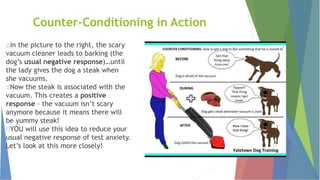 Counter-Conditioning in Action
In the picture to the right, the scary
vacuum cleaner leads to barking (the
dog’s usual negative response)…until
the lady gives the dog a steak when
she vacuums.
Now the steak is associated with the
vacuum. This creates a positive
response – the vacuum isn’t scary
anymore because it means there will
be yummy steak!
YOU will use this idea to reduce your
usual negative response of test anxiety.
Let’s look at this more closely!
 