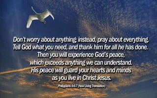 Mindfulness & Meditation!