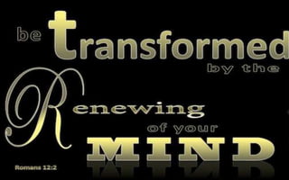 Mindfulness & Meditation!