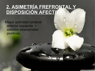 2. ASIMETRÍA FREFRONTAL Y
DISPOSICIÓN AFECTIVA
Mayor actividad cerebral
anterior izquierda =
estados emocionales
positivos
 