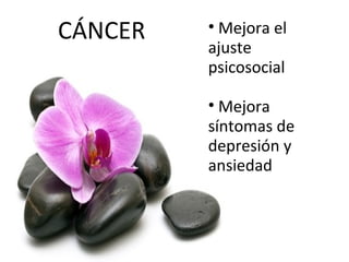 CÁNCER • Mejora el
ajuste
psicosocial
• Mejora
síntomas de
depresión y
ansiedad
 