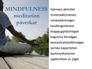 MINDFULNESS    hjärnans aktivitet

  meditation   stressreaktiviteten
               sinnesstämningen
   påverkar    handl...