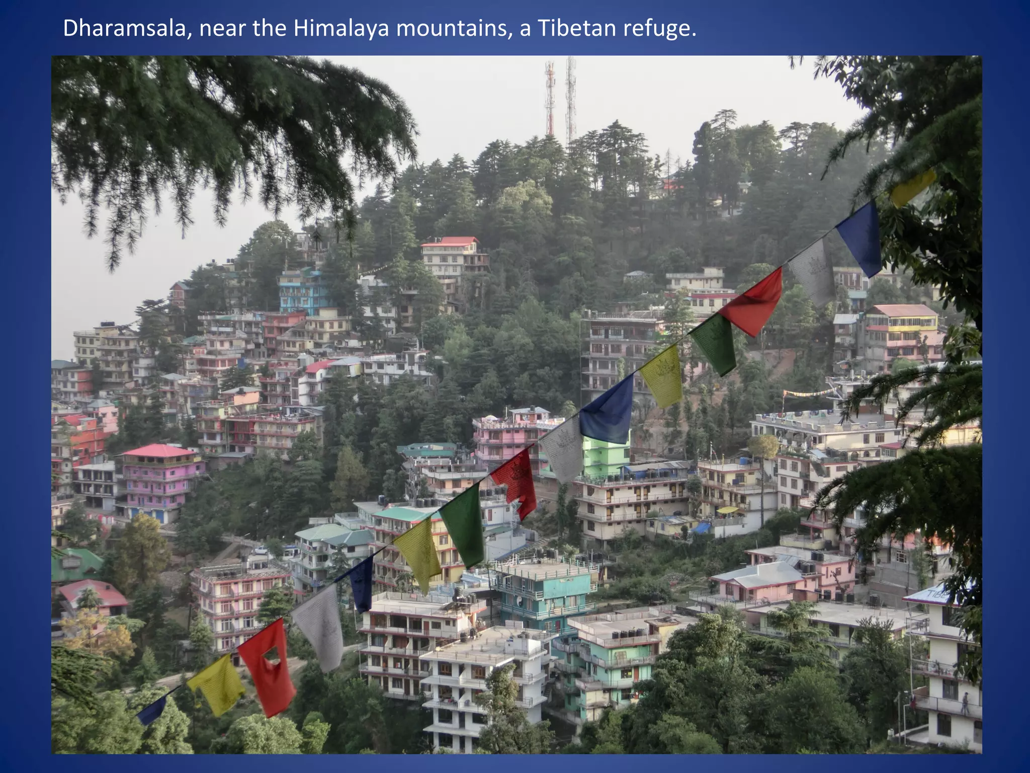 Dharamsala, near the Himalaya mountains, a Tibetan refuge.
 