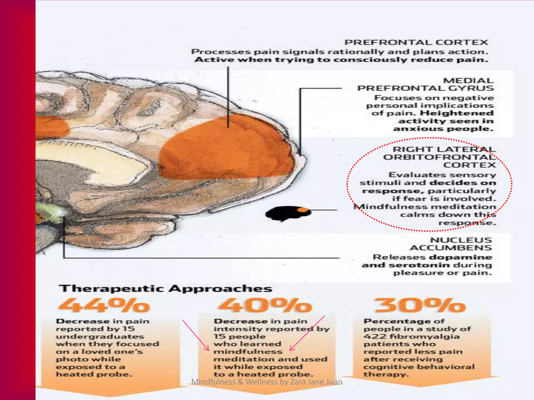 Mindfulness & Wellness by Zara Jane Juan
 