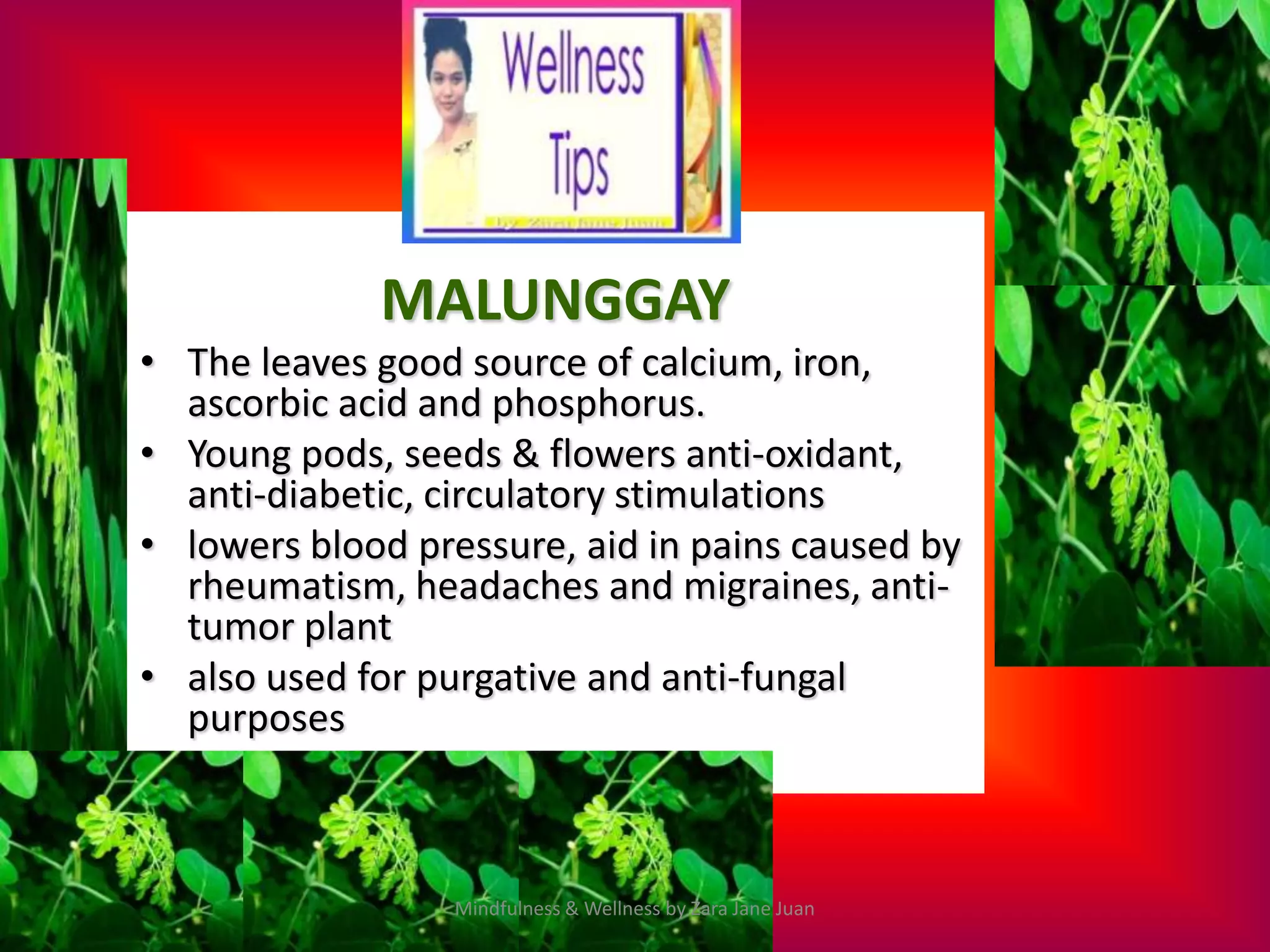 MALUNGGAY
• The leaves good source of calcium, iron,
  ascorbic acid and phosphorus.
• Young pods, seeds & flowers anti-oxidant,
  anti-diabetic, circulatory stimulations
• lowers blood pressure, aid in pains caused by
  rheumatism, headaches and migraines, anti-
  tumor plant
• also used for purgative and anti-fungal
  purposes



                  Mindfulness & Wellness by Zara Jane Juan
 
