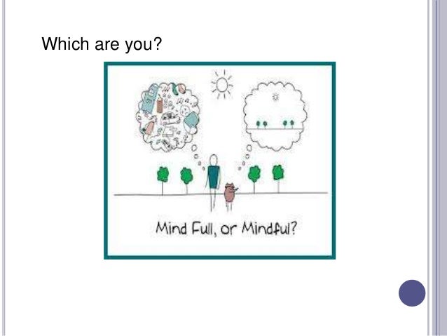 Mindful Or Mind Full