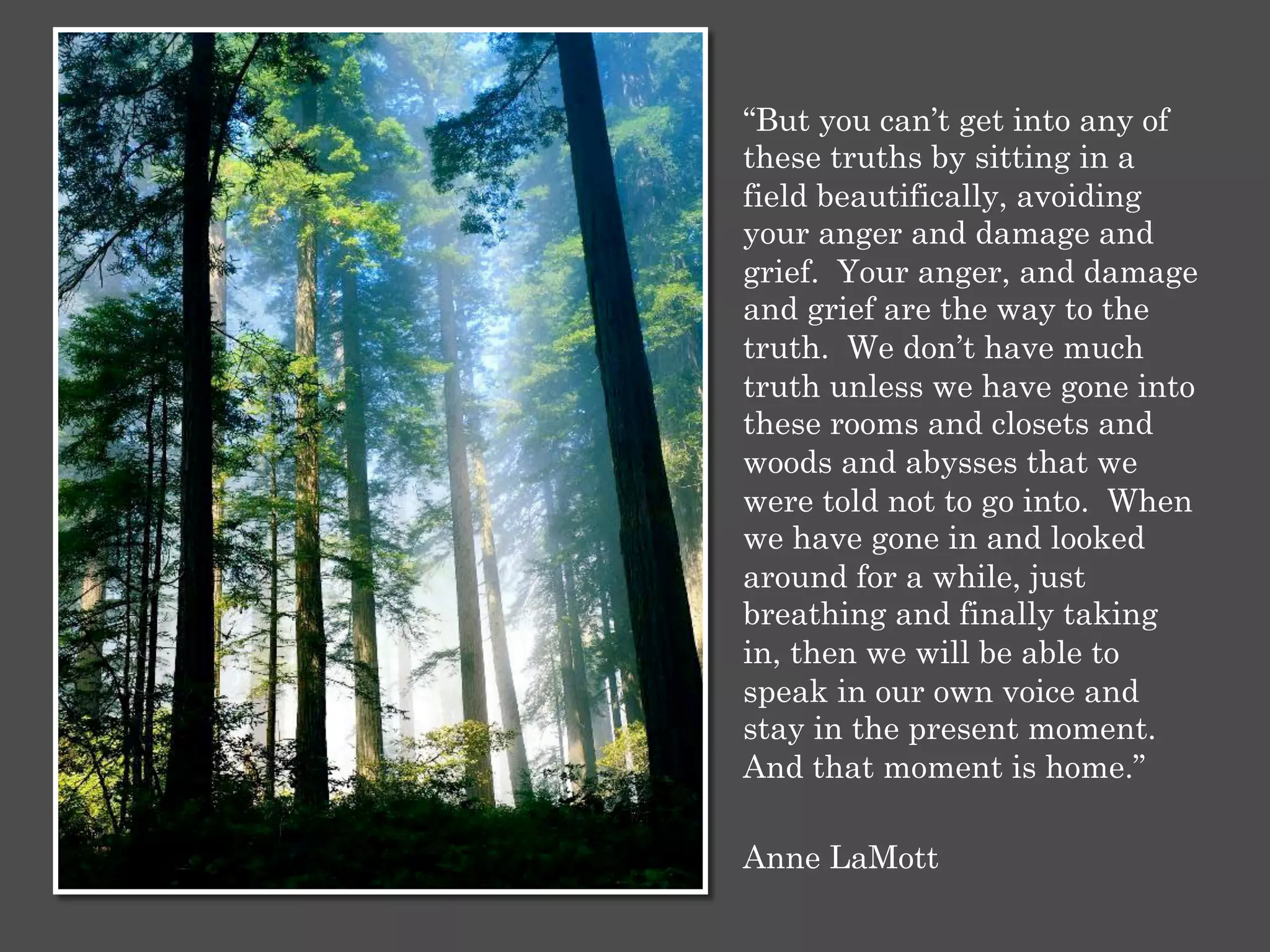 “But you can’t get into any of
these truths by sitting in a
field beautifically, avoiding
your anger and damage and
grief. Your anger, and damage
and grief are the way to the
truth. We don’t have much
truth unless we have gone into
these rooms and closets and
woods and abysses that we
were told not to go into. When
we have gone in and looked
around for a while, just
breathing and finally taking
in, then we will be able to
speak in our own voice and
stay in the present moment.
And that moment is home.”
Anne LaMott
 