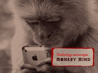 qÉÅÜåçäçÖó=ÉåÅçìê~ÖÉë=
MONKEY MIND
tumblr @lovelymisssummer
 