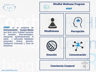 Mindful Wellness Program