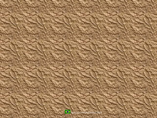 by Luna Di Primo Brasil 2013
 