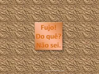 by Luna Di Primo Brasil 2013
 