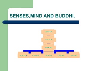 SENSES,MIND AND BUDDHI. 