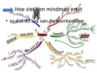 Hoe ziet een mindmap eruit
• zo dus dit is 1 van de voorbeelden
 