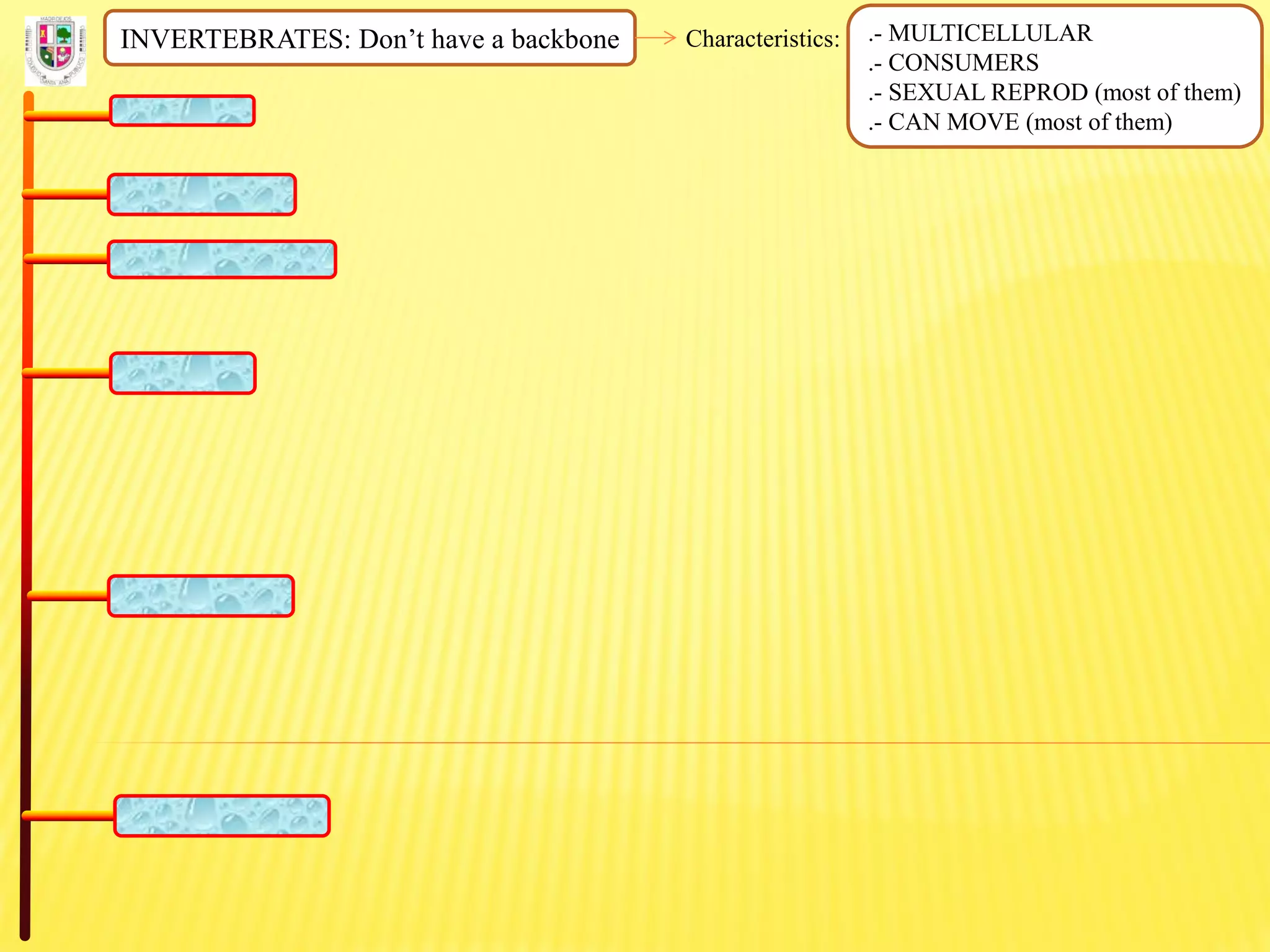 INVERTEBRATES: Don’t have a backbone Characteristics: .- MULTICELLULAR
.- CONSUMERS
.- SEXUAL REPROD (most of them)
.- CAN MOVE (most of them)
 