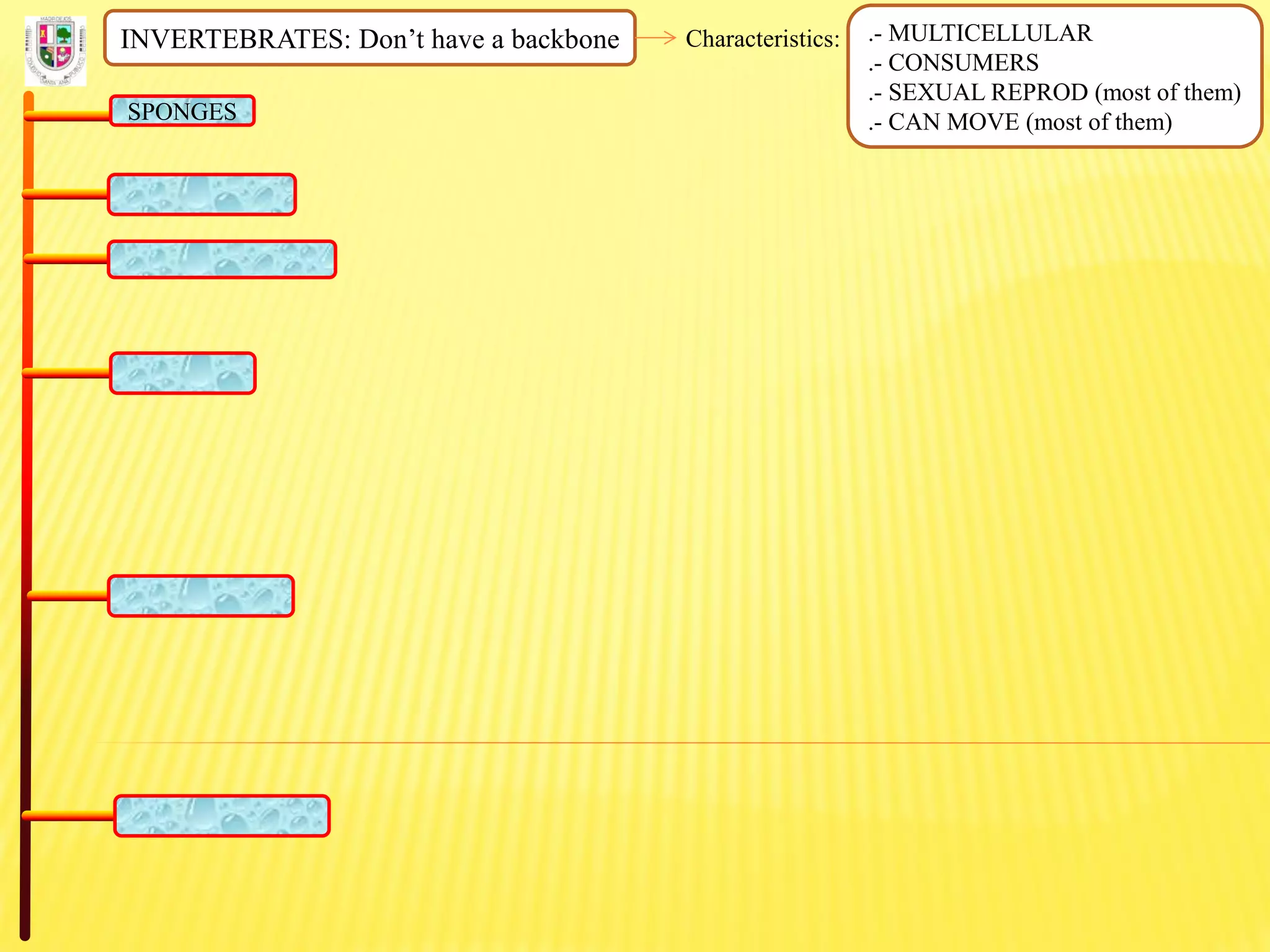 INVERTEBRATES: Don’t have a backbone Characteristics: .- MULTICELLULAR
.- CONSUMERS
.- SEXUAL REPROD (most of them)
.- CAN MOVE (most of them)SPONGES
 