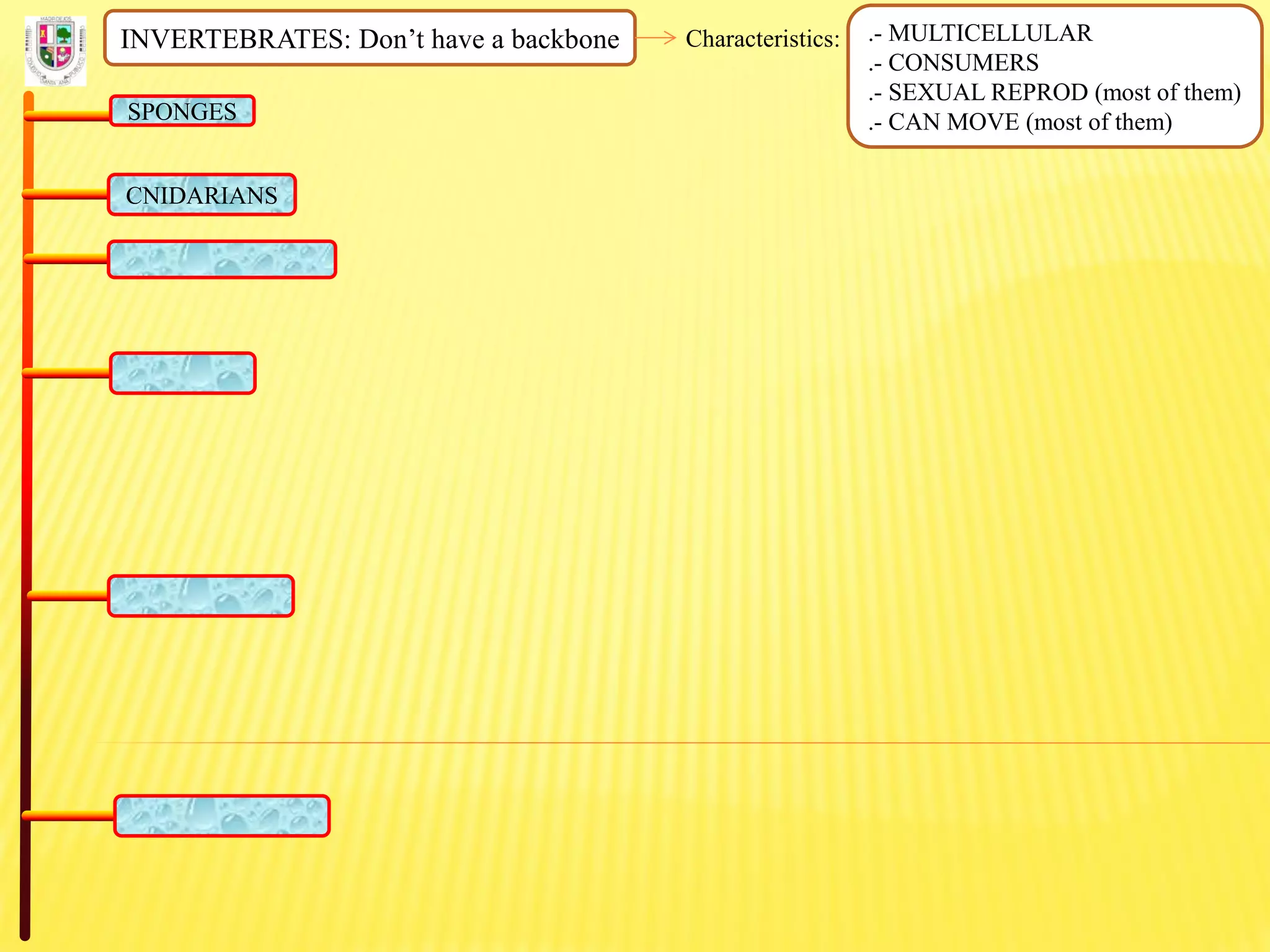 INVERTEBRATES: Don’t have a backbone Characteristics: .- MULTICELLULAR
.- CONSUMERS
.- SEXUAL REPROD (most of them)
.- CAN MOVE (most of them)SPONGES
CNIDARIANS
 