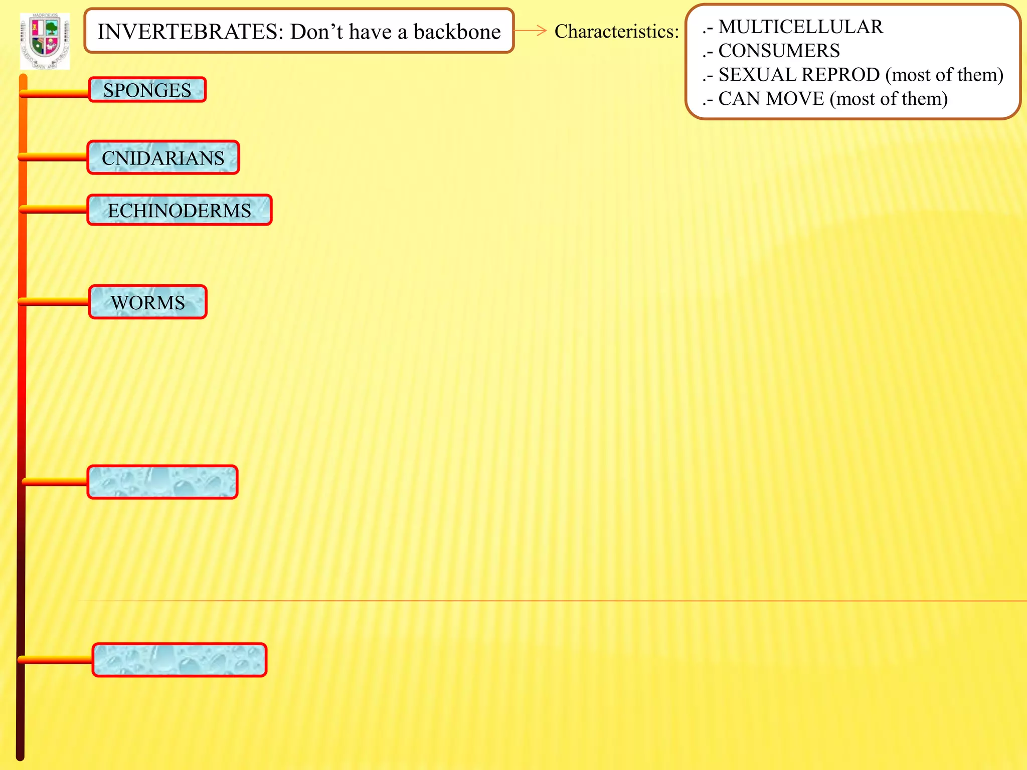 INVERTEBRATES: Don’t have a backbone Characteristics: .- MULTICELLULAR
.- CONSUMERS
.- SEXUAL REPROD (most of them)
.- CAN MOVE (most of them)SPONGES
CNIDARIANS
ECHINODERMS
WORMS
 