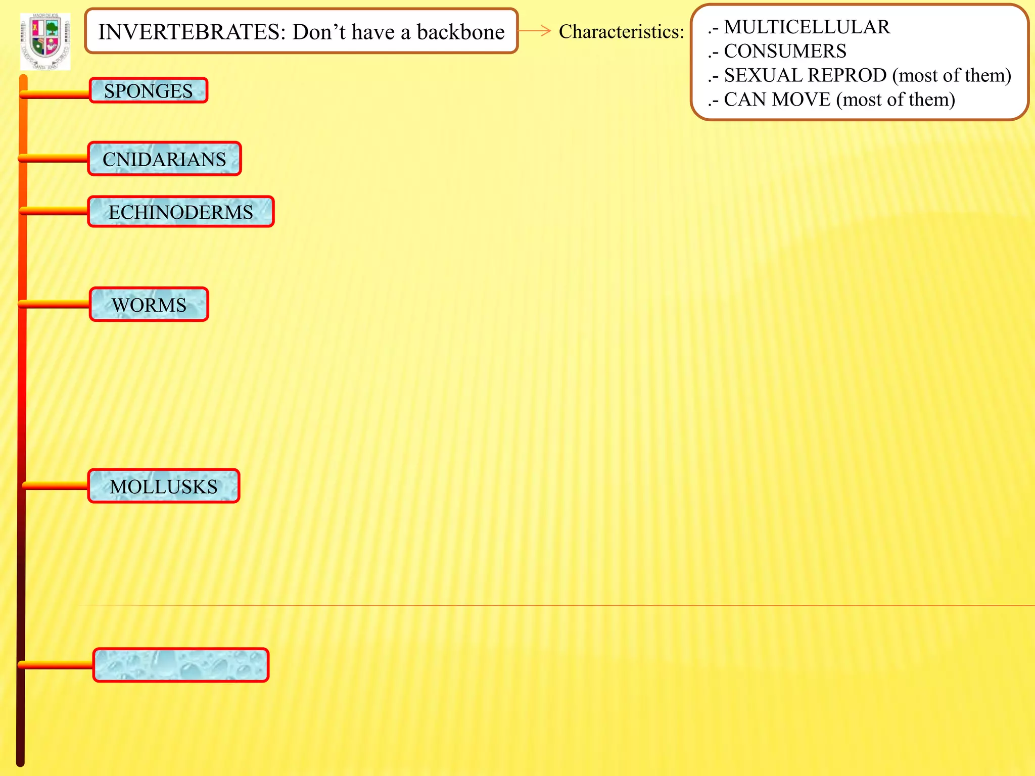 INVERTEBRATES: Don’t have a backbone Characteristics: .- MULTICELLULAR
.- CONSUMERS
.- SEXUAL REPROD (most of them)
.- CAN MOVE (most of them)SPONGES
CNIDARIANS
ECHINODERMS
WORMS
MOLLUSKS
 
