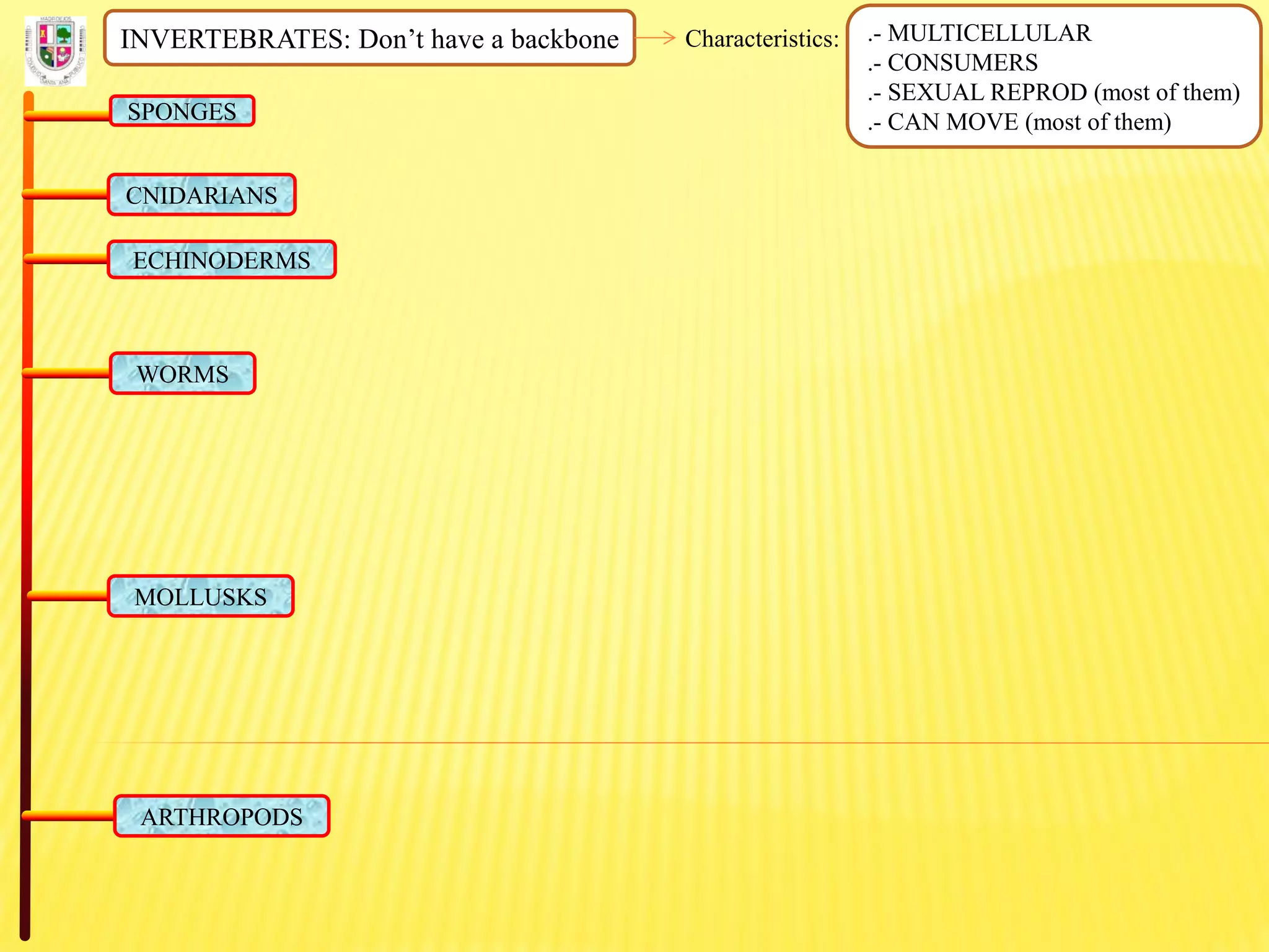 INVERTEBRATES: Don’t have a backbone Characteristics: .- MULTICELLULAR
.- CONSUMERS
.- SEXUAL REPROD (most of them)
.- CAN MOVE (most of them)SPONGES
CNIDARIANS
ECHINODERMS
WORMS
MOLLUSKS
ARTHROPODS
 