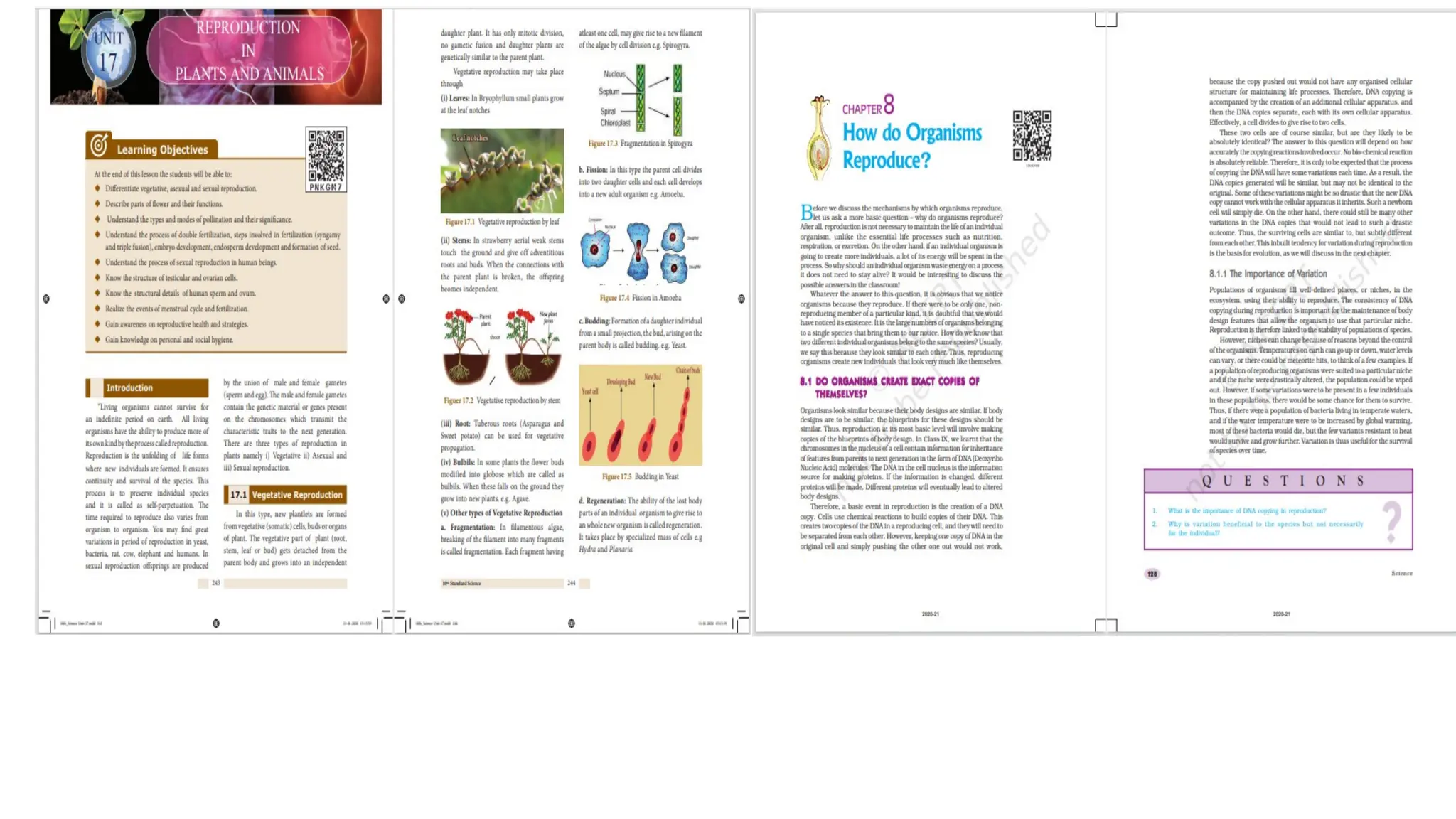 Mind Map- An effective Learning Tool - - | PPTX