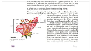 Mind Map- An effective Learning Tool - - | PPT