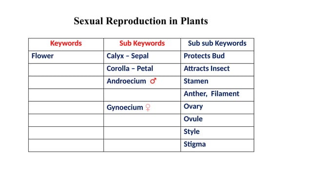 Mind Map- An effective Learning Tool - - | PPTX