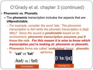 O’Grady et al. chapter 3 (continued)Phonemic vs. PhoneticThe phonemic transcription includes the aspects that are UNpredictable.For example, consider the word ‘late.’ The phonemic transcription is /let/ while the phonetic transcription is [lejt].  Why?  Since the sound is predictable based on its environment, phonemic transcription assumes you’ll know the rule.  For this reason it is wise to know which transcription you’re looking at: phonemic or phonetic. Phonemic forms are called ‘underlying’ forms;  phonetic forms are called ‘surface’forms.PHONETICPHONEMIC