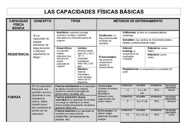 Mapa Conceptual CFB