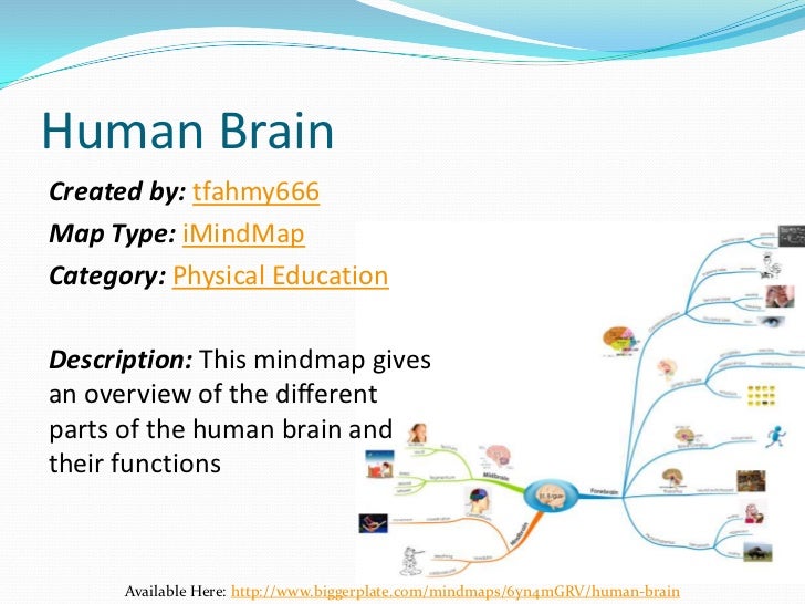 Mind map Digest - Aug 6th 2012