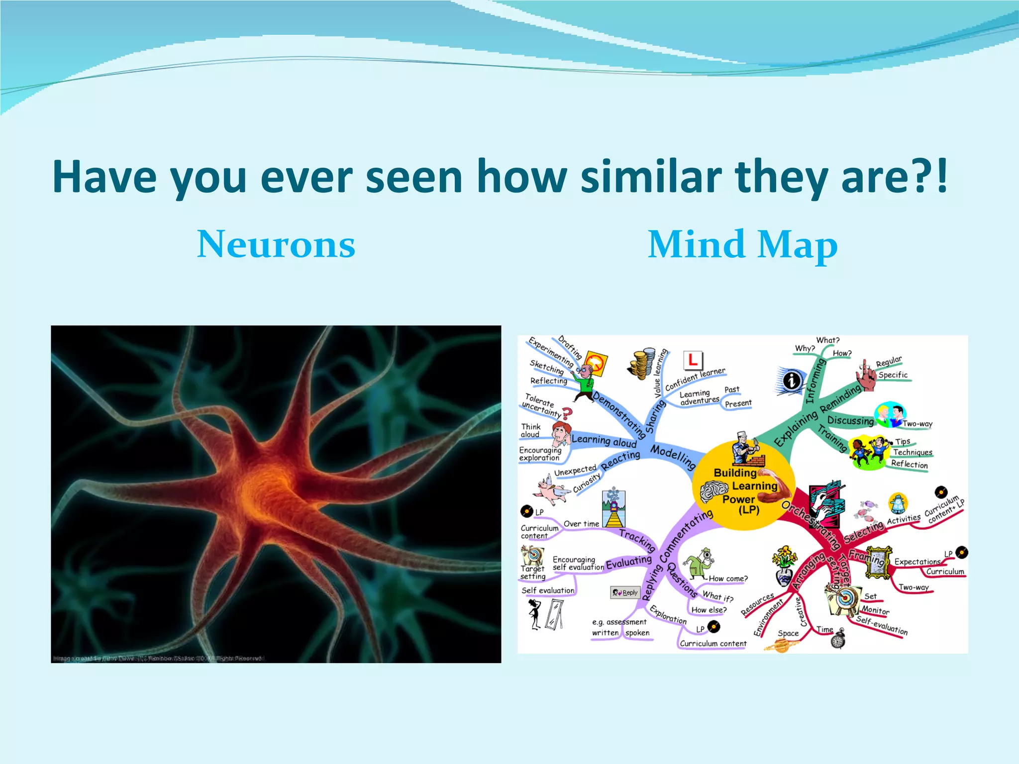 Have you ever seen how similar they are?! Neurons Mind Map 