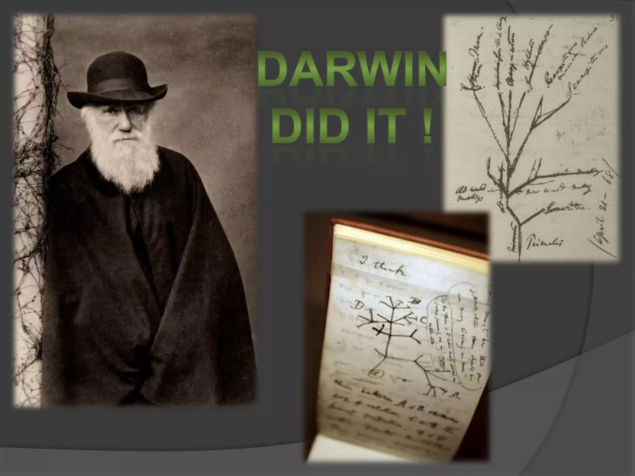 DarwinDid It !