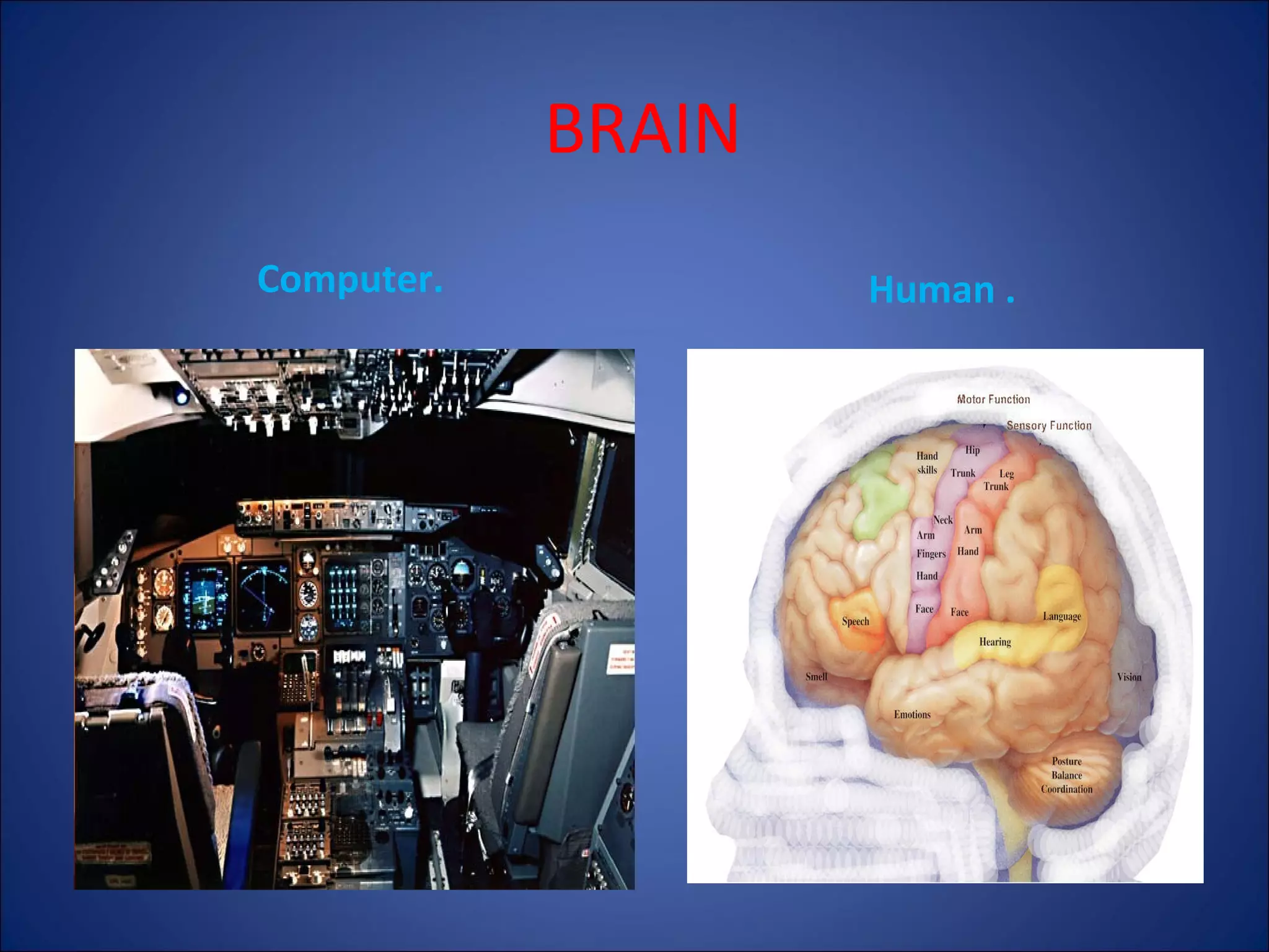 BRAIN
Computer.

Human .

 