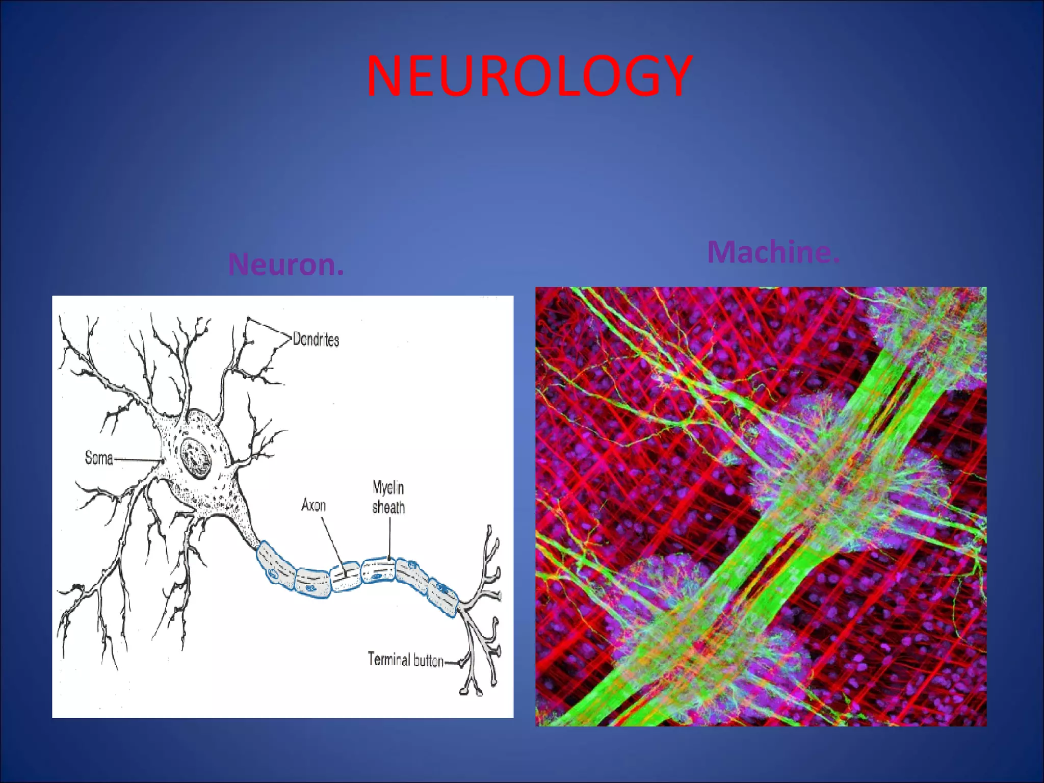 NEUROLOGY
Neuron.

Machine.

 