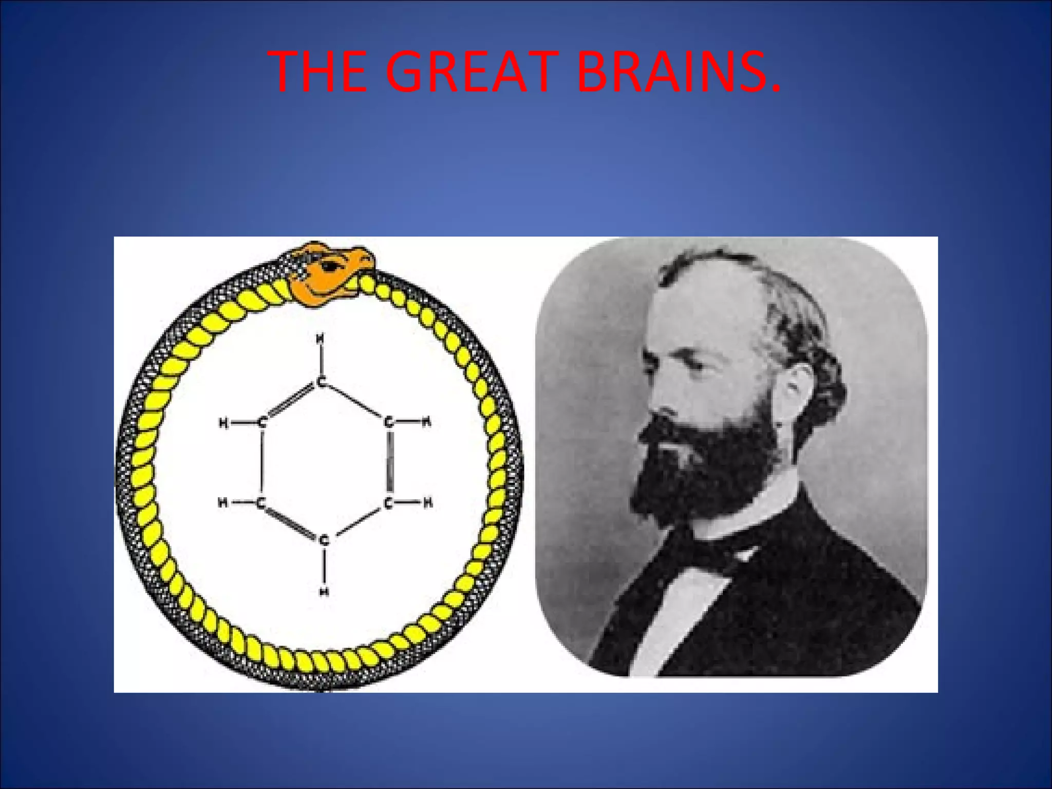 THE GREAT BRAINS.

 
