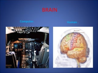 BRAIN
Computer.

Human .

 