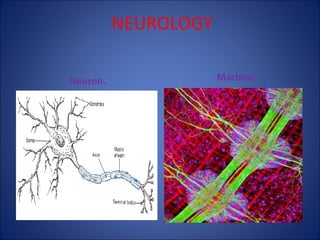 NEUROLOGY
Neuron.

Machine.

 