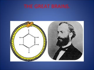 THE GREAT BRAINS.

 