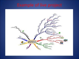 Example of live project

 