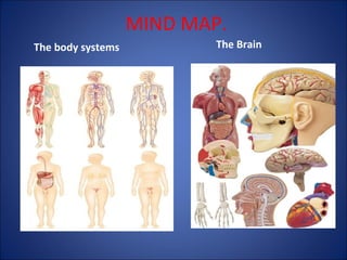 MIND MAP.
The body systems

The Brain

 