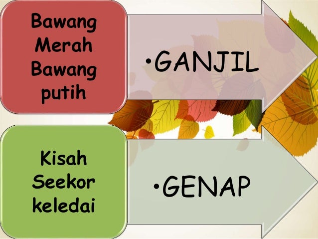 Cerita Bawang Merah Bawang Putih Beserta Unsur