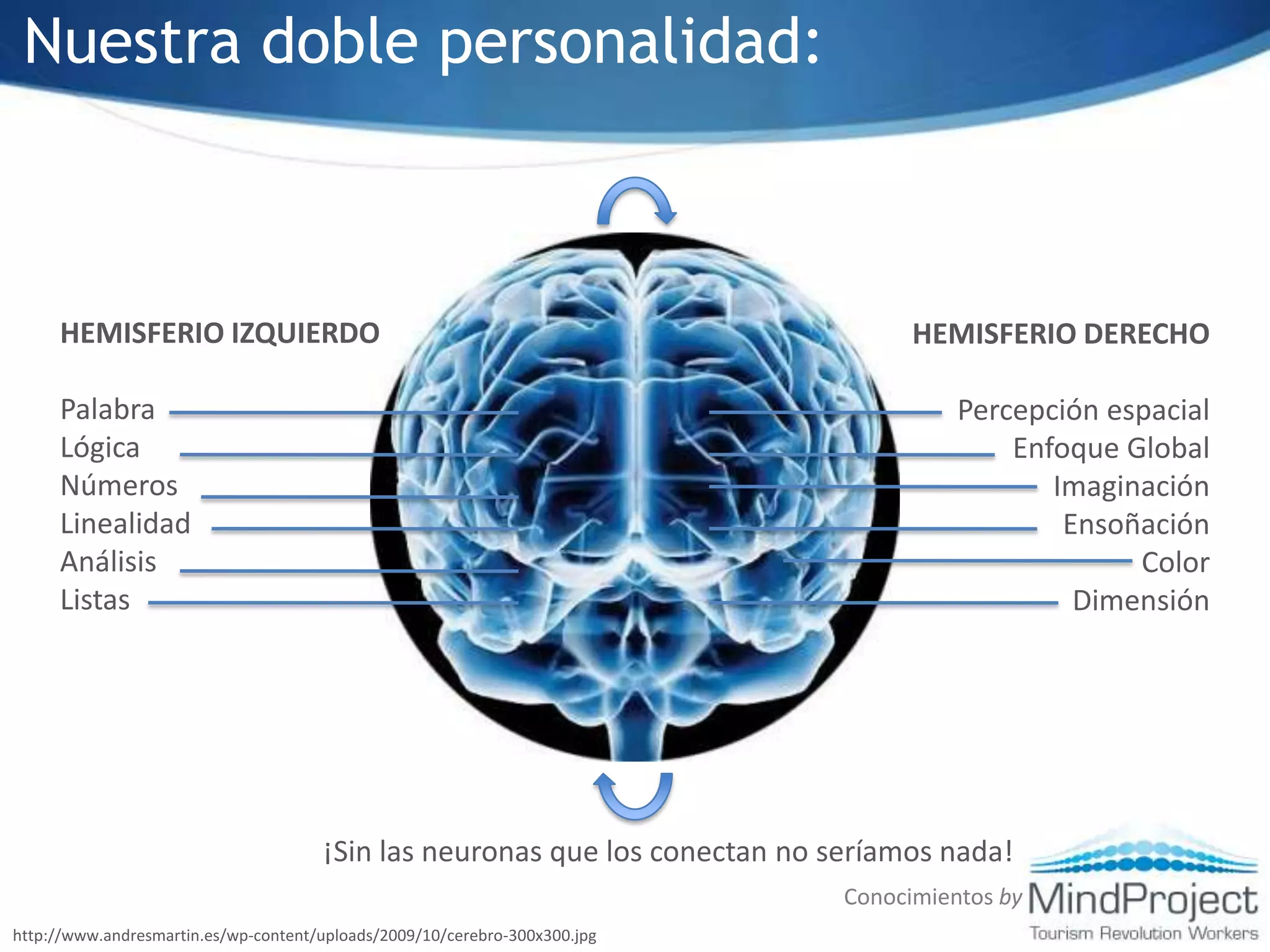 Nuestra doble personalidad:HEMISFERIO IZQUIERDOPalabraLógicaNúmerosLinealidadAnálisisListasHEMISFERIO DERECHORitmoPercepción espacialEnfoque GlobalImaginaciónEnsoñaciónColorDimensión¡Sin las neuronas que los conectan no seríamos nada!Conocimientos byhttp://www.andresmartin.es/wp-content/uploads/2009/10/cerebro-300x300.jpg