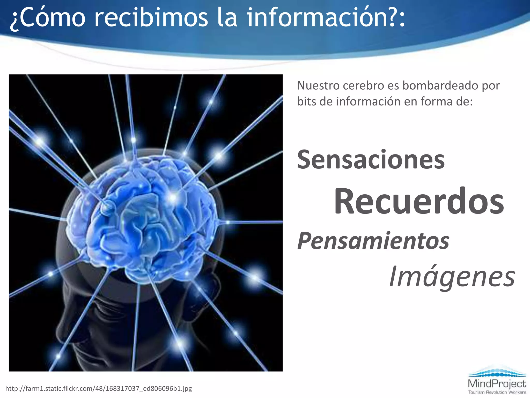 ¿Cómo recibimos la información?:Nuestro cerebro es bombardeado por bits de información en forma de:Sensaciones      RecuerdosPensamientosImágeneshttp://farm1.static.flickr.com/48/168317037_ed806096b1.jpgConocimientos by