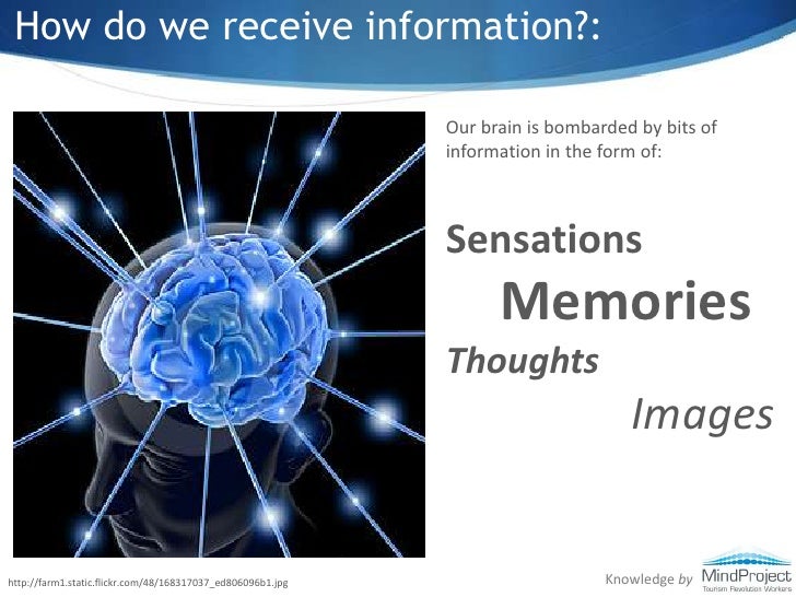 How do we receive information?: