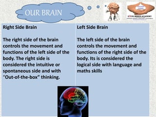 Right Side Brain
The right side of the brain
controls the movement and
functions of the left side of the
body. The right side is
considered the intuitive or
spontaneous side and with
“Out-of-the-box” thinking.
Left Side Brain
The left side of the brain
controls the movement and
functions of the right side of the
body. Its is considered the
logical side with language and
maths skills
OUR BRAIN
 