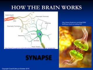 HOW THE BRAIN WORKS

                                                                                    http://www.sharpbrains.com/blog/2008/
                                                                                    06/05/your-brain-on-trading-101/




   http://www2.massgeneral.org/childhoodepilepsy/overview/brain-popup_synapse.htm




                                   SYNAPSE
Copyright CoachCathy.ca October 2010
 