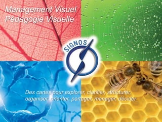 Management Visuel
Pédagogie Visuelle




     Des cartes pour explorer, clarifier, structurer,
     organiser, orienter, partager, manager, décider


                                                        0
 